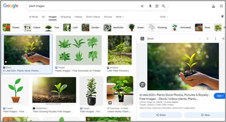 Google Image Search 2_Webtage February 2026