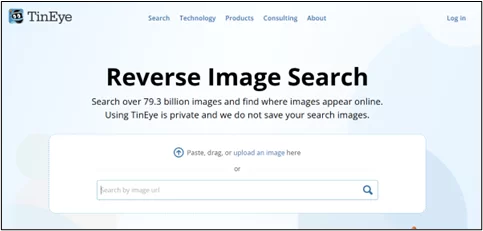 TinEye Reverse Image Search